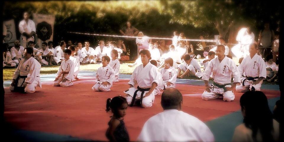 15135857_968268313278732_573054244179388699_n