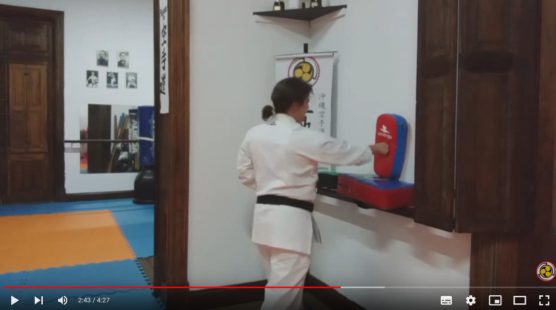 Screenshot 2024-04-11 at 13-45-47 Uechi Tip – Entrenamiento con focos en casa